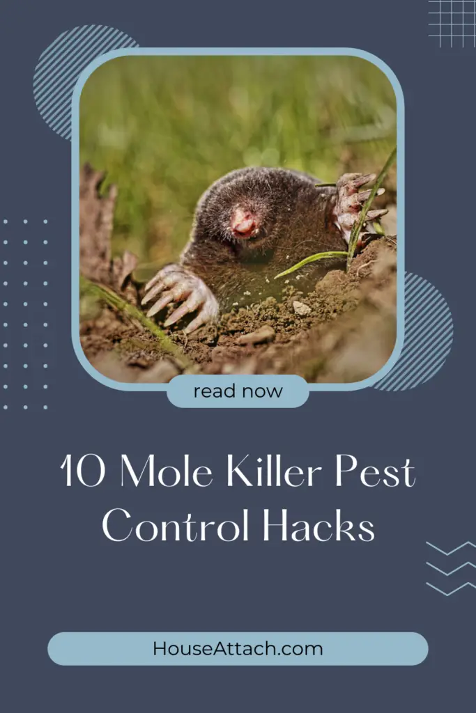 mole killer pest control