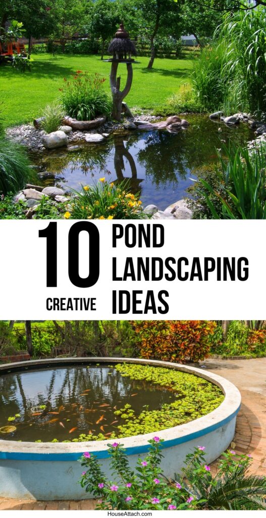 pond area landscaping