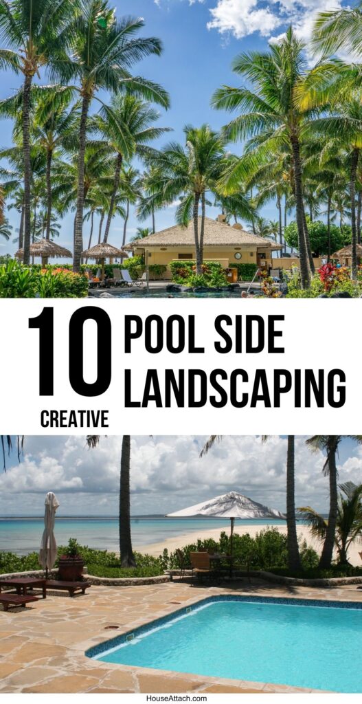 pool side landscaping