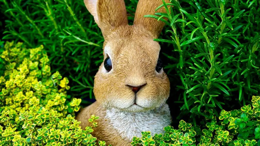 rabbit hiding in plants