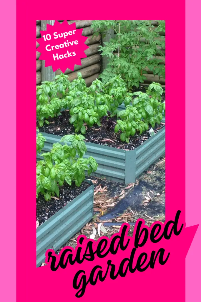 raised bed garden ideas