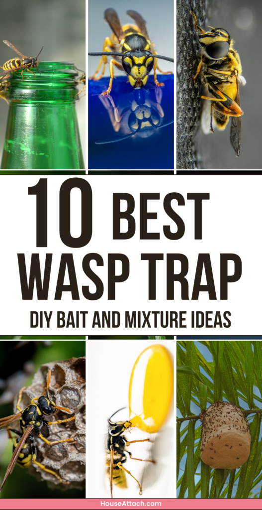 wasp trap diy bait and mixture ideas