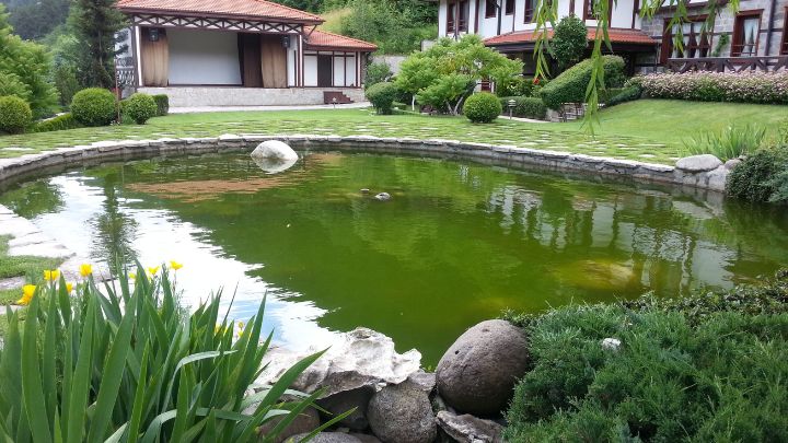 Build a Big Pond with Permanent Stone Edging