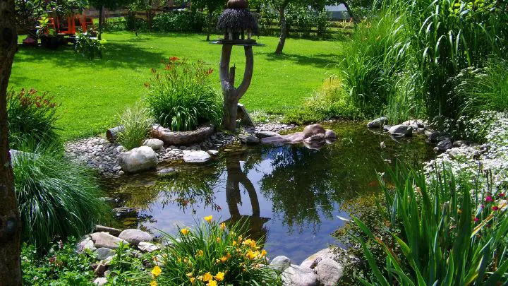 Build a Simple Pond with Rock Edging
