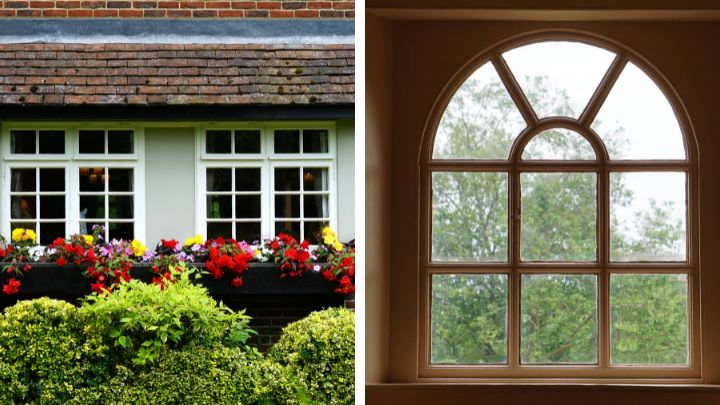 Close Your Windows Tightly to repel beetles
