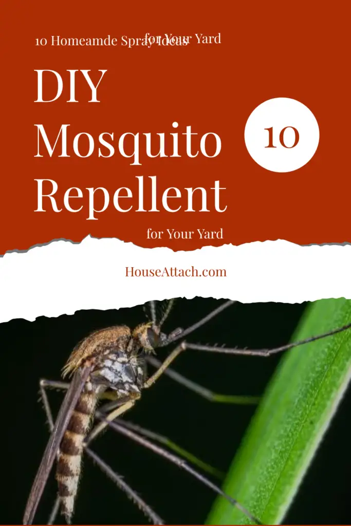 DIY Mosquito Repellent for yard