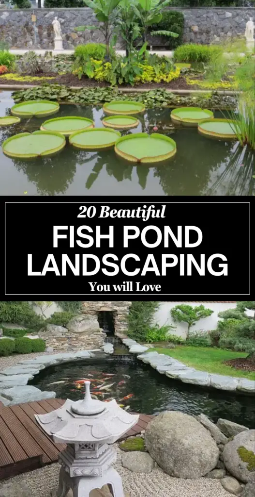Fish Pond landscaping