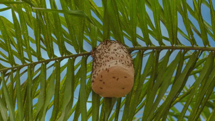 Hang Fake Wasp Nests
