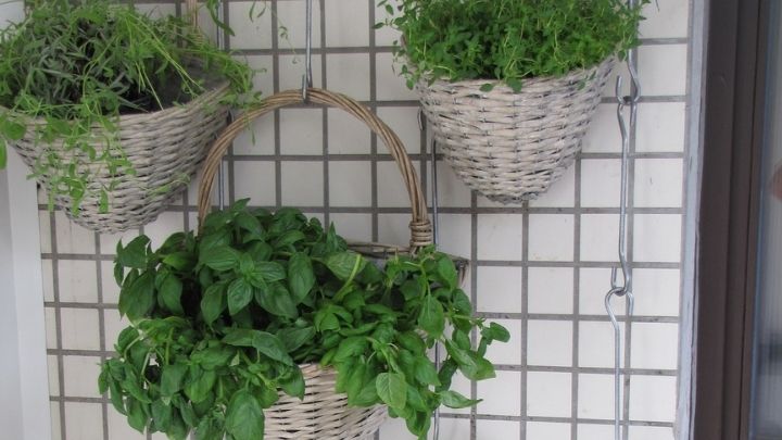 Hang Plants in Baskets