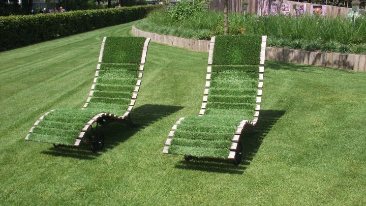 Lay Grass on the Chairs in the backyard