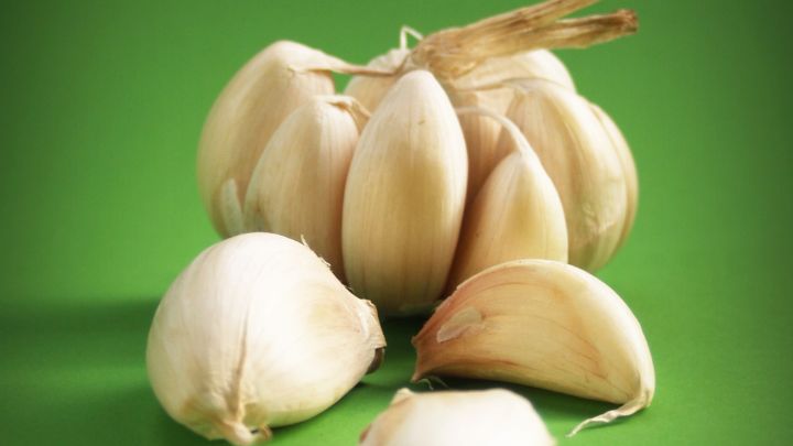 Spray Garlic in Your House