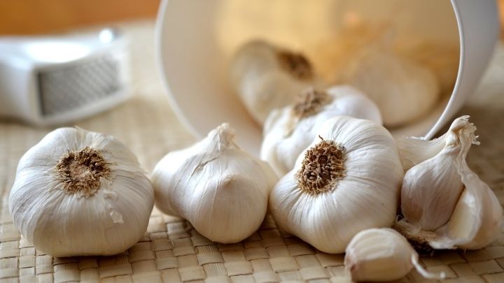 Use Garlic Mixture as a Spray to repel pests