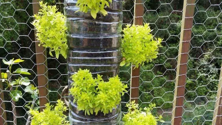 Use Plastic Bottles to Build a Vertical Garden