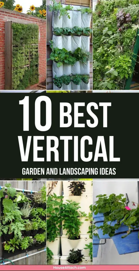 Vertical garden and landscaping ideas