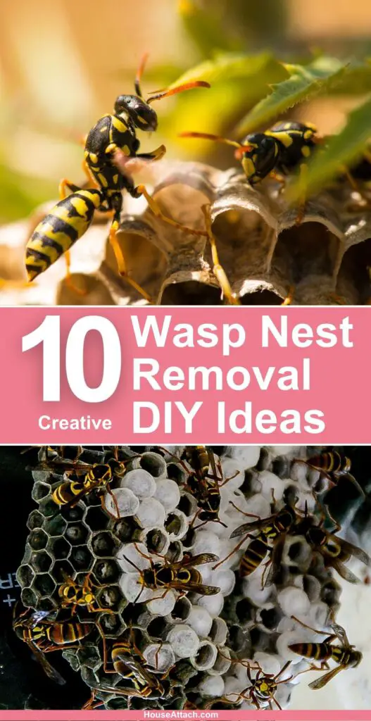 Wasp Nest Removal DIY Ideas 1