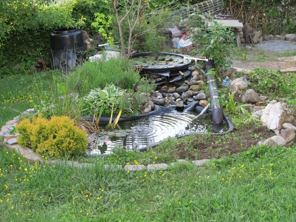 backyard pond garden and landscaping