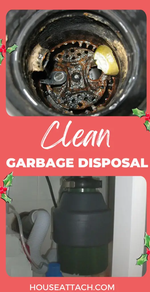clean garbage disposal