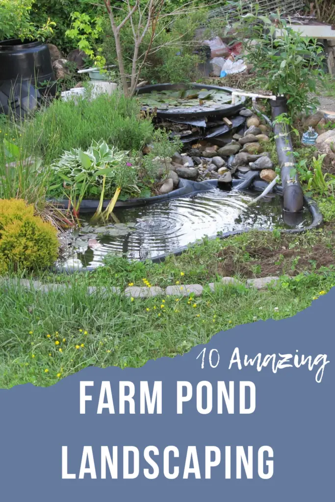 farm pond landscaping