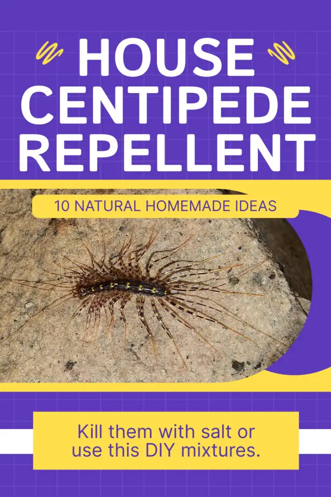 house centipede repellent