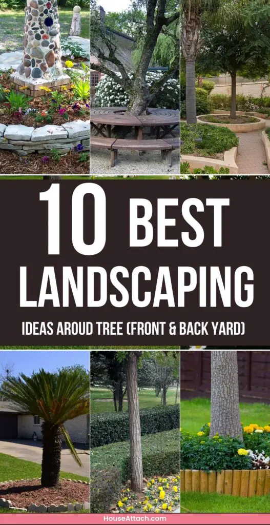 landscaping ideas Aroud tree Front back yard