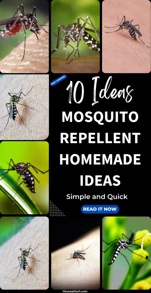 mosquito repellent homemade ideas