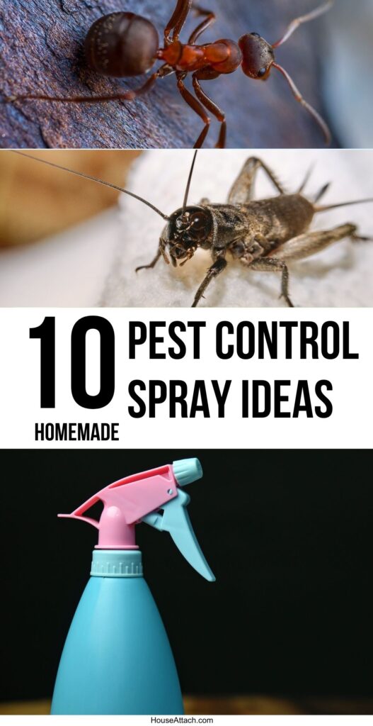 pest control spray ideas