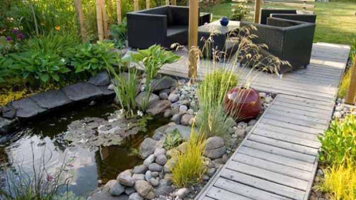 pond design with rocks