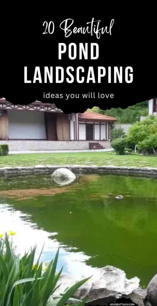 pond landscaping 1