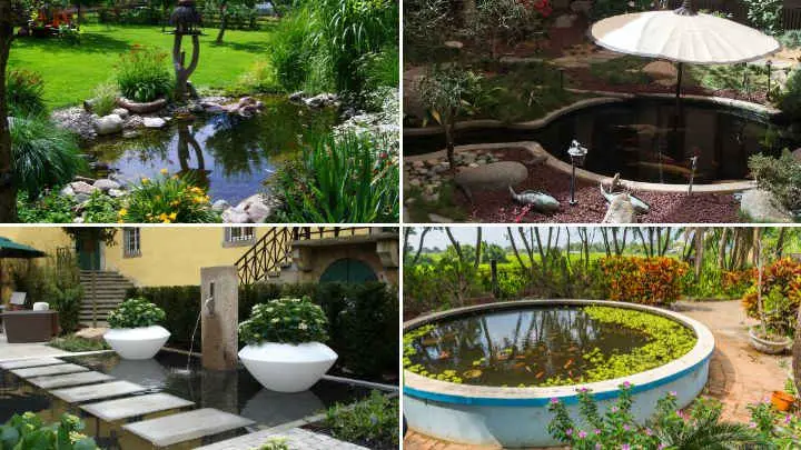 pond landscaping ideas