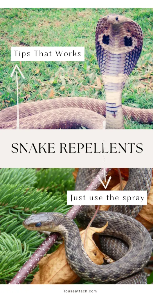 snake repellents