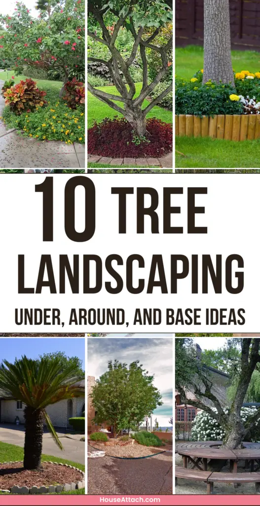 tree landscaping ideas