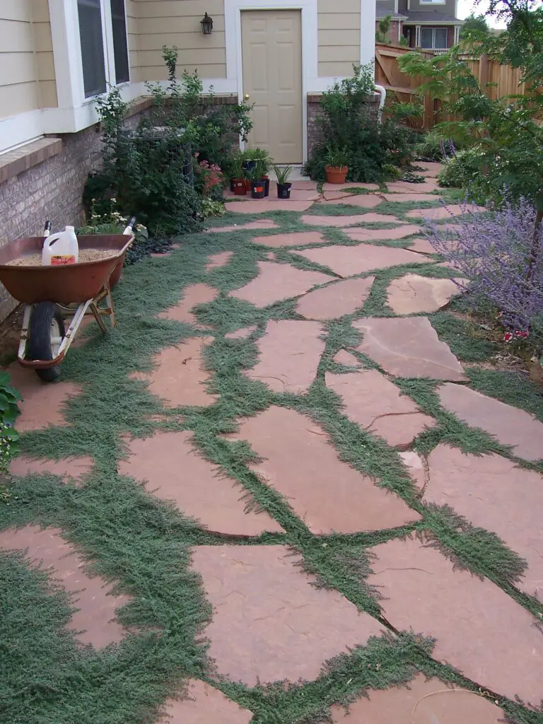 walkway with grass and rocks