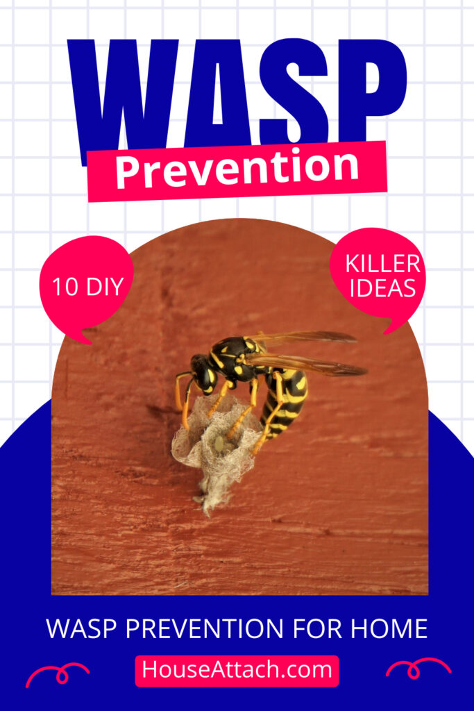 wasp prevention for home