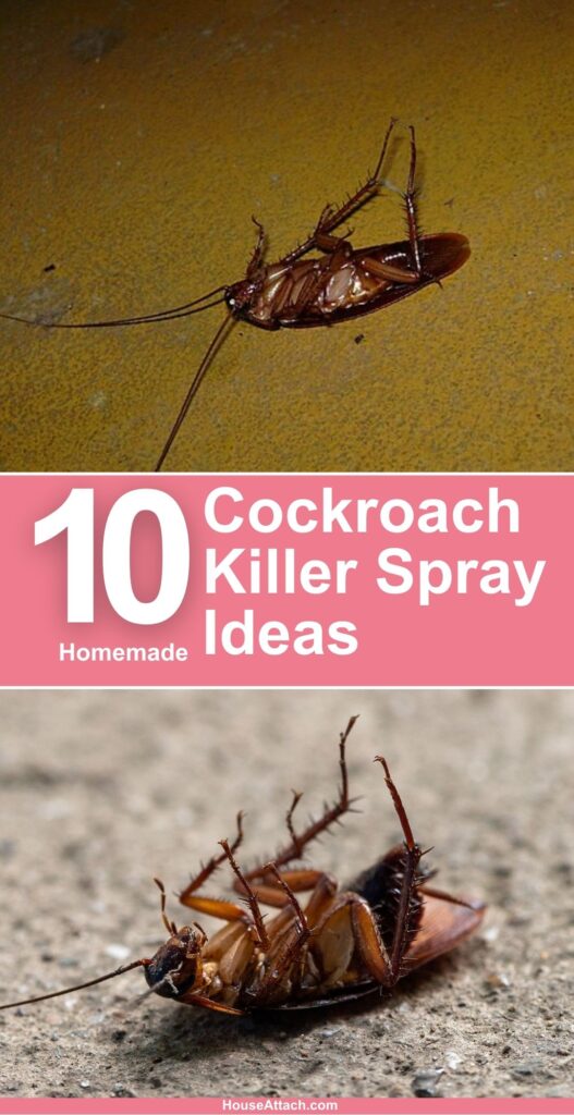 Cockroach Killer Spray Ideas