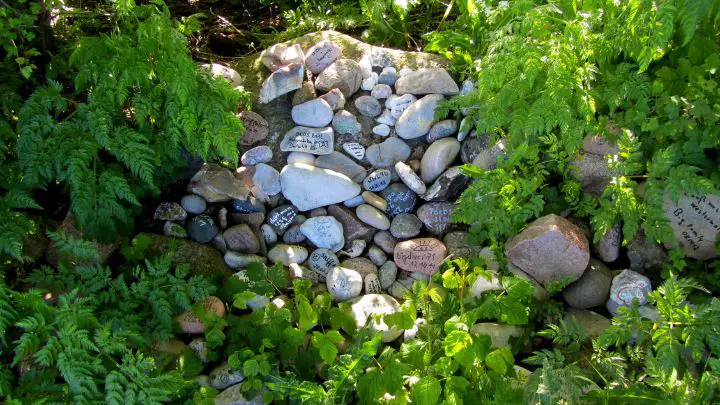 Create a Rock Garden Around It