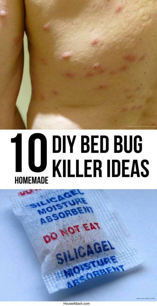 DIY Bed Bug Killer Ideas
