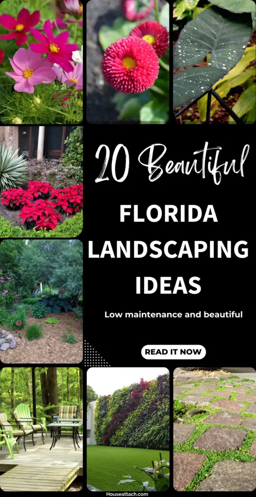 Florida landscaping and garden ideas 1