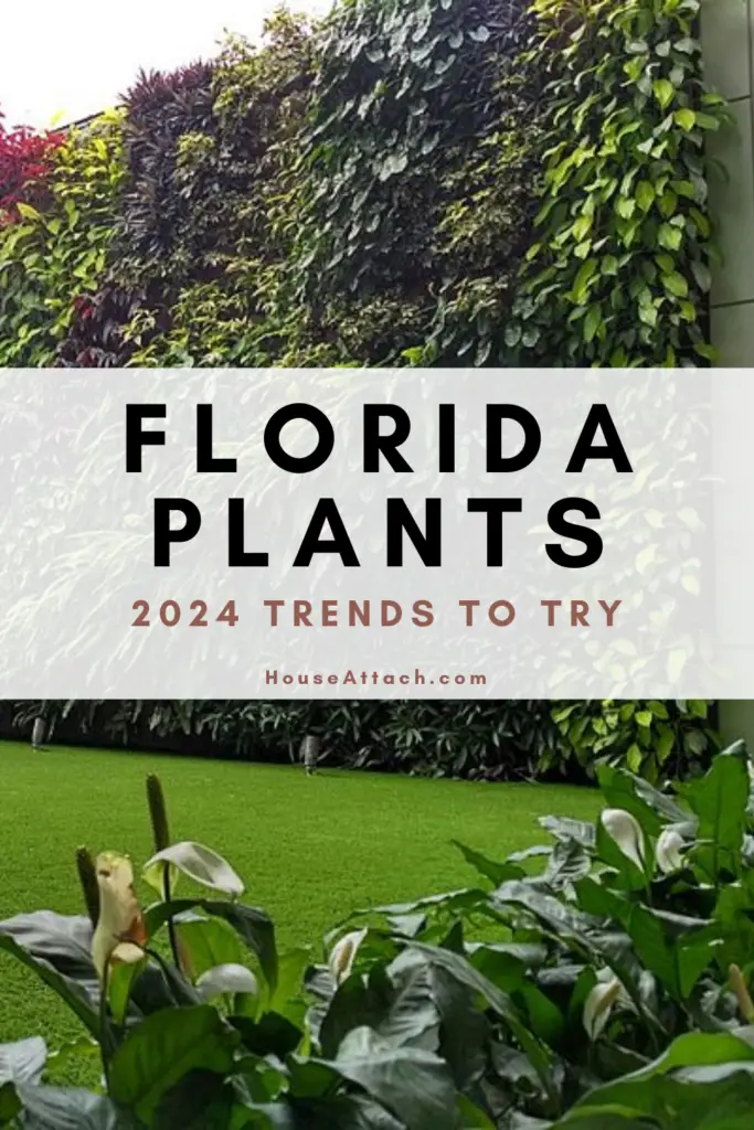 Florida plants