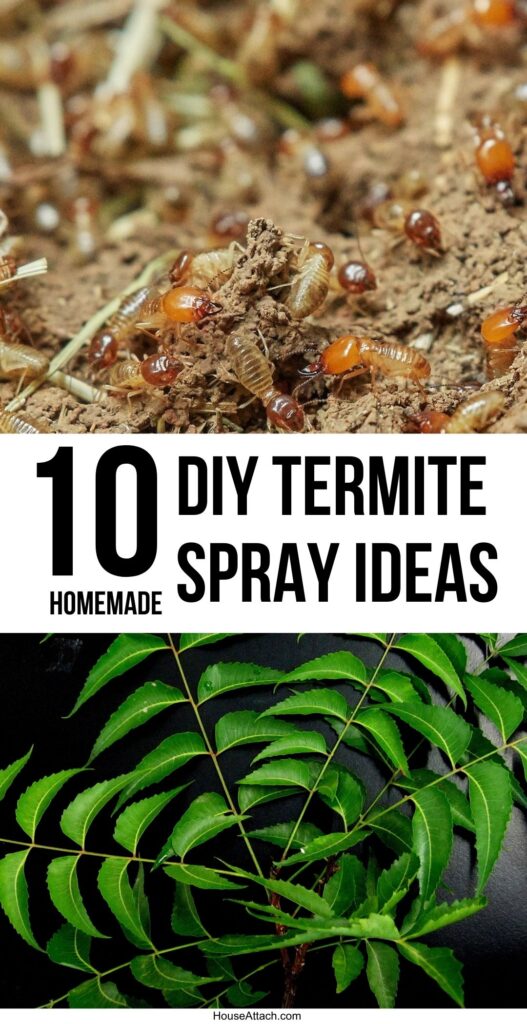Homemade DIY Termite Spray Ideas 1