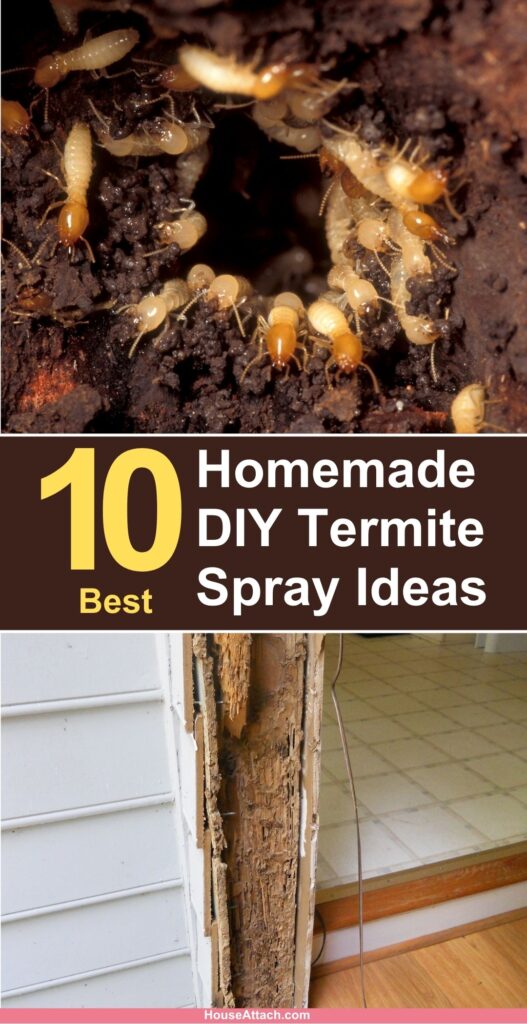 Homemade DIY Termite Spray Ideas 2