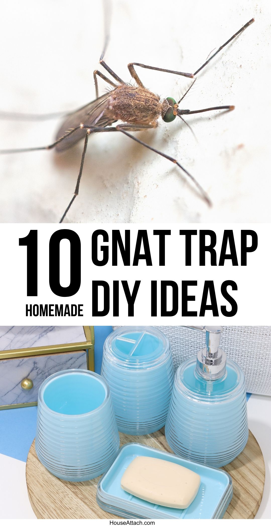10 best gnat trap hacks that works