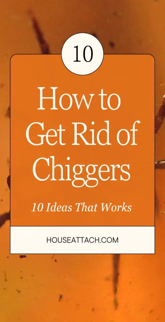 How to Get Rid of Chiggers 1