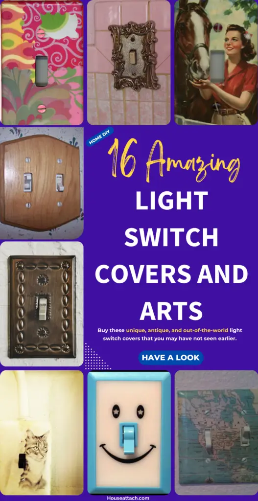 Light Switch Covers and Arts
