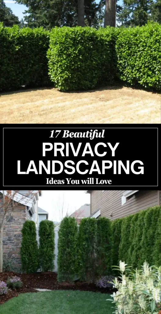 Privacy landscaping 1