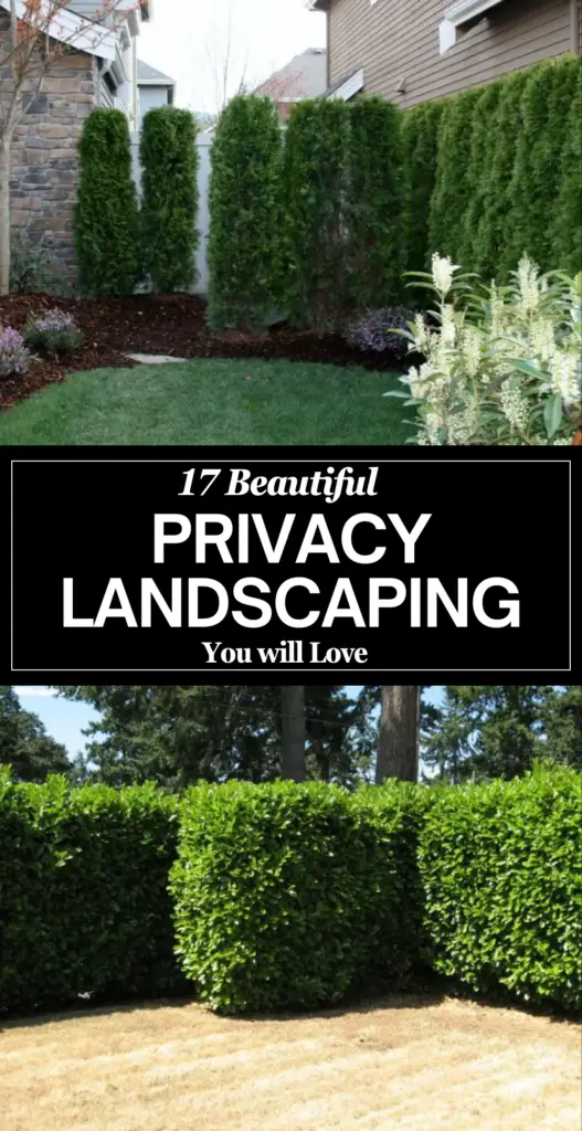 Privacy landscaping