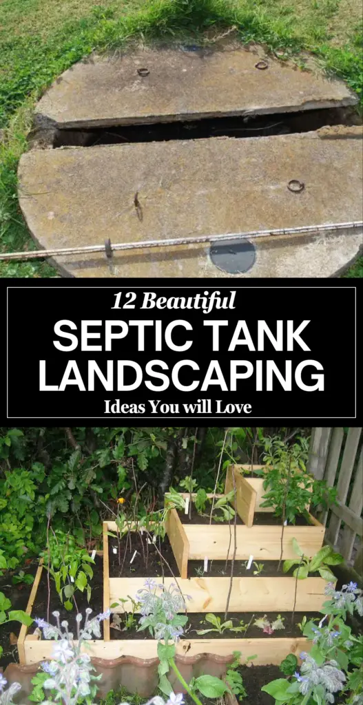 Septic tank landscaping 1