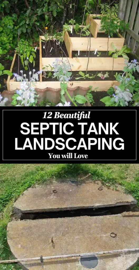 Septic tank landscaping
