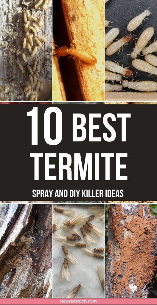 Termite Spray and DIY killer ideas