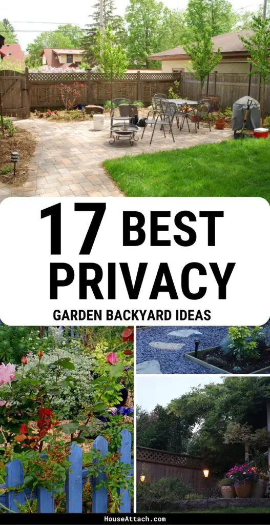 backyard privacy ideas 1