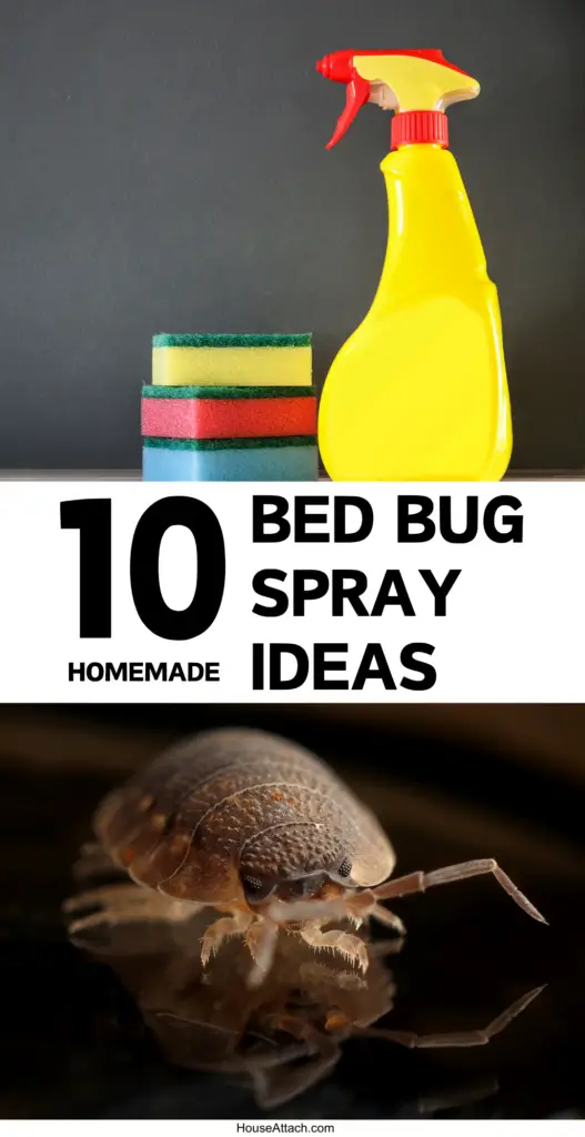 bed bug spray ideas